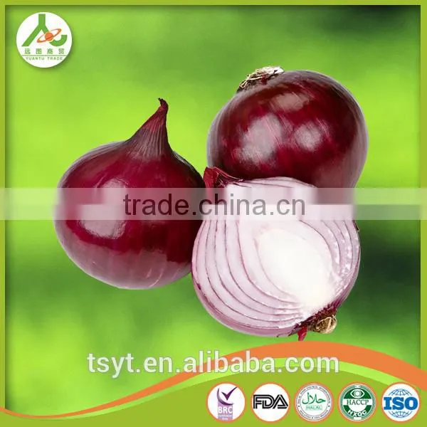Export Onion From China With Fresh and Red Onion photo-4