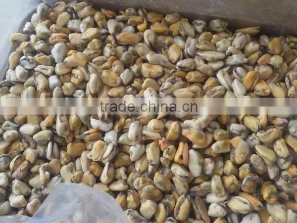 Frozen Cooking Mussel Meat Fish Seafood Company