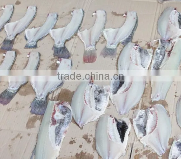 FGB-180 Medium Size Fish Machine Salmon Cuttting Machine CE Approved WhatsApp :+86 18819432901 photo-6