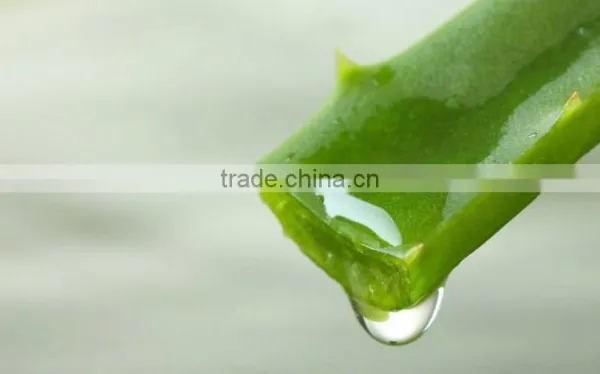 Beauty Products Aloe Vera Gel. photo-2