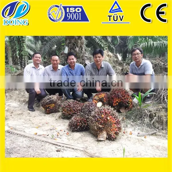 Palm Kernel Oil Processing Machine to Make Cooking Palm Oil photo-2