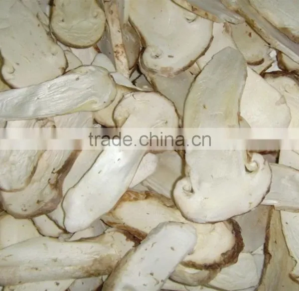 Food Processing Machine Food Vacuum Freeze Drying Machine photo-5