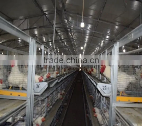 Battery Cages photo-3