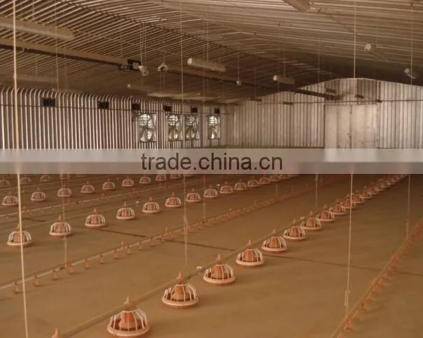 Poultry Farm Equipment for Raising Chickens on Ground
