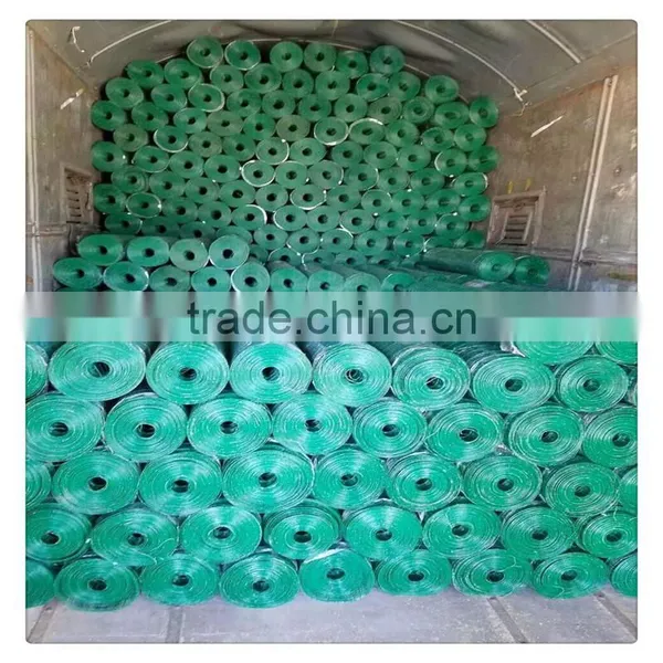 Stainless Steel Welded Wire Mesh / Galvanized Welded Wire Mesh for Sale photo-6