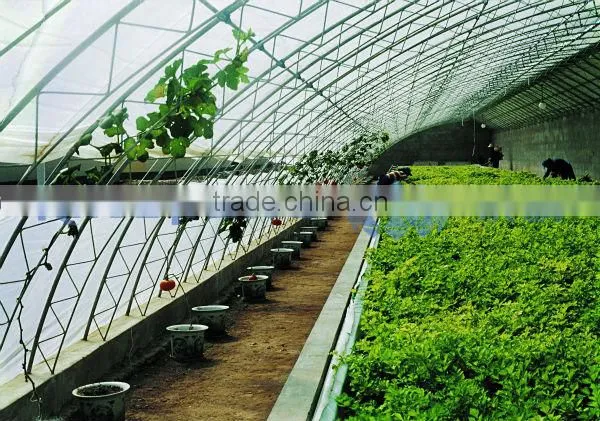 Tunnel Plastic Greenhouse Film Agriculture photo-4