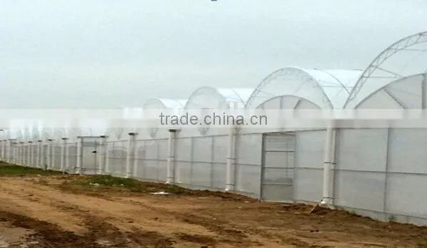 Galvanized Steel Structure Glass Cover Used Commercial Greenhouses photo-5