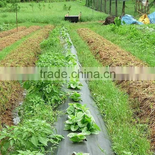 100G/M2 Weed Mats / PP Woven Fabrics photo-3
