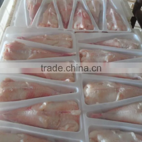 Monkfish photo-4