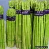 Sell Asparagus(Green)