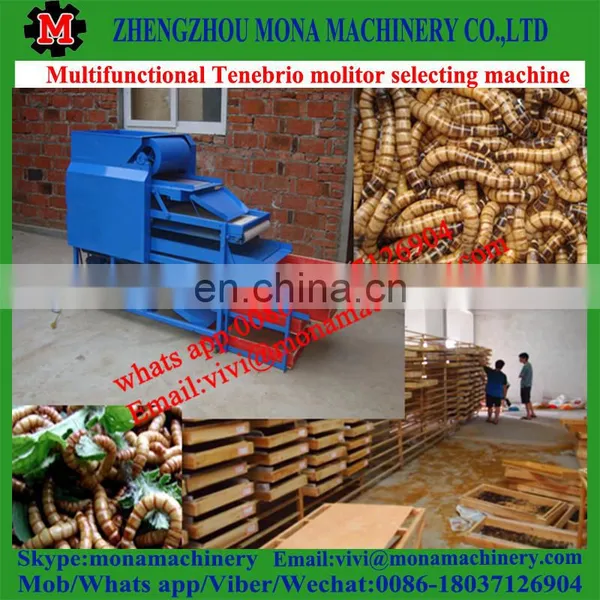 Multifunctional Separating Plant for Tenebrio Molitor, Big/small Worms, Pupa, Dead Worms photo-2