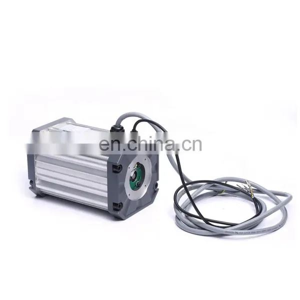 Custom 2 kw 1w 150w 15kw 1000rpm 48v 1000w Gear Hub Electric Bldc Motor Controller for e Rickshaw photo-3