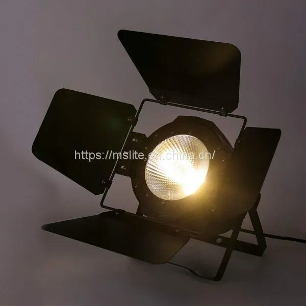 100W COB FACE Stage Light,2 In1 LED Par Lamp Cool and Warm White for DJ Club Party With Panel photo-5