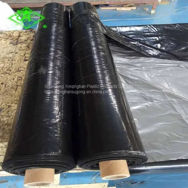 Anti Weed Plastic Mulch Film Agricultural Black Plastic Ground Cover photo-3