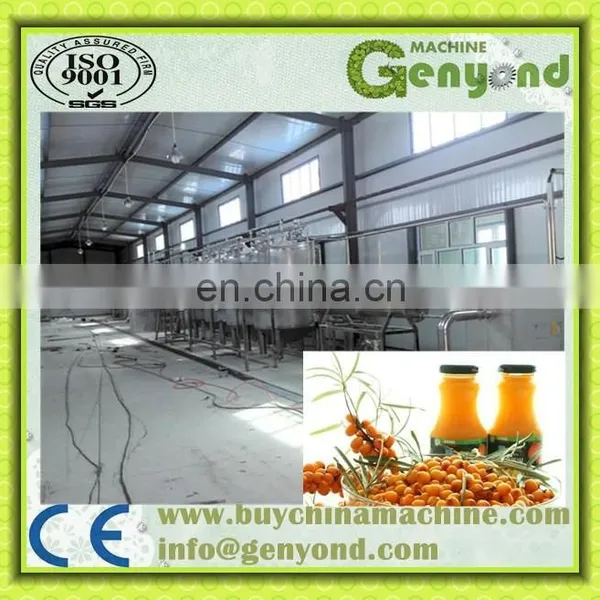 Commercial Sea Buckthorn Juice Processing Line / Sea Buckthorn Juice Extracting Machine photo-3