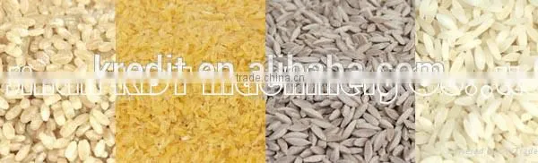 Full Automatic Artificial Rice Making Machine/Nutrition Rice Production Line/Instant Rice Processing Line photo-2