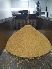 Malting Packing Production Line With Steeping Tank , Germinating Kilning Box photo-5