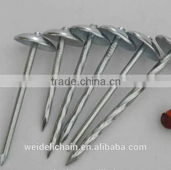 Competitive Price BWG10X2.5" Roofing Nails photo-4