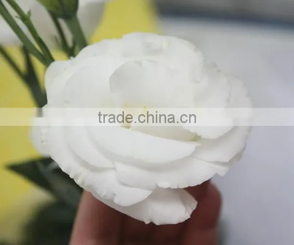Good Smell Hotsell Provide High Quality Fresh Eustoma photo-4