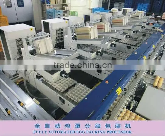 Full-Auto Egg Grading Machine