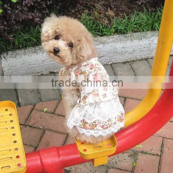 Knitting Pattern for Dog Clothes Xxx Small Dog Clothes Pet Clothes
