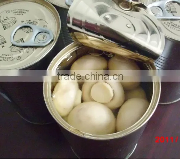 Canned Mushroom