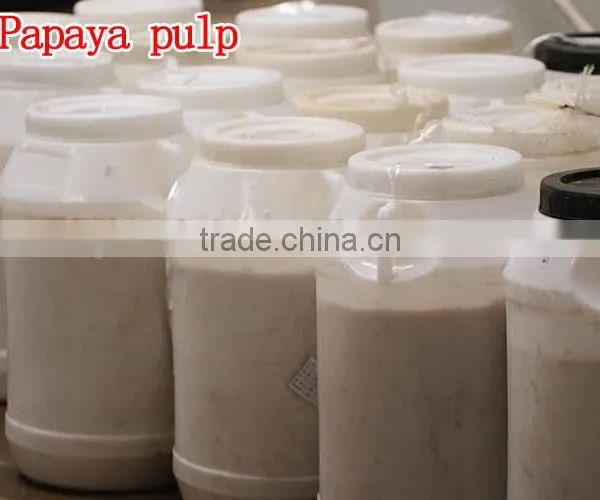 100% Natural High Quality Papaya Powder Factory Supply Dry Papaya Powder photo-4