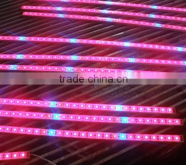 SMD 5050RGB Led Rigid Strips (DC12V 3.6W/0.5M)ADS-501215 photo-2