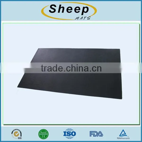 Fitness Mat / Floor Mat / PVC Mat