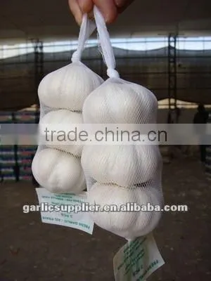 Snow White Garlic New Crop photo-3