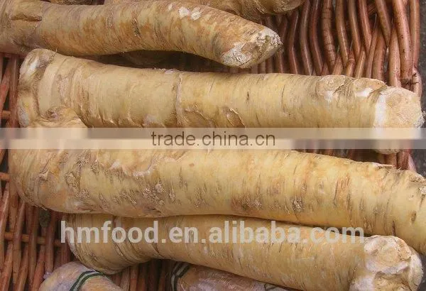 Spicy Fresh Horseradish photo-4