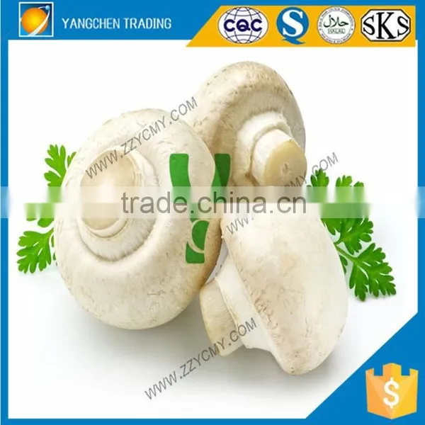 Canned Food List of Canned Mushroom Whole