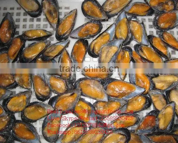 Wholesale High Quality Half Shell Mussel With Good Price and High Quality photo-5
