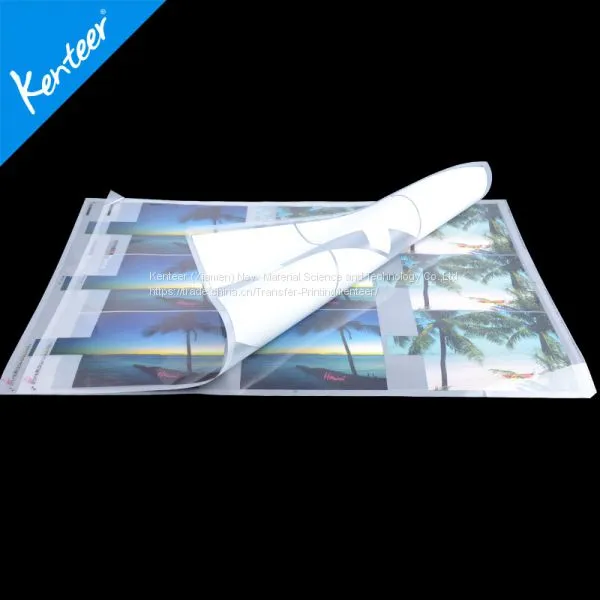 Glossy PET Film for Screen Printing Hot Sale photo-3
