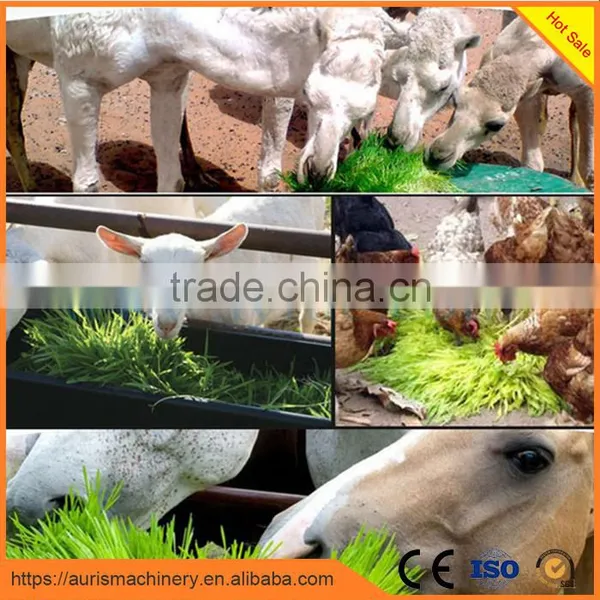 Barley Bud Seedling Machine/green Grass Growing Machine/pasture Grow Machine on Sale photo-3