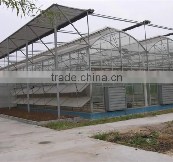 Hot Sale Multi-span Greenhouse With Vegetable Farming Equipment photo-5