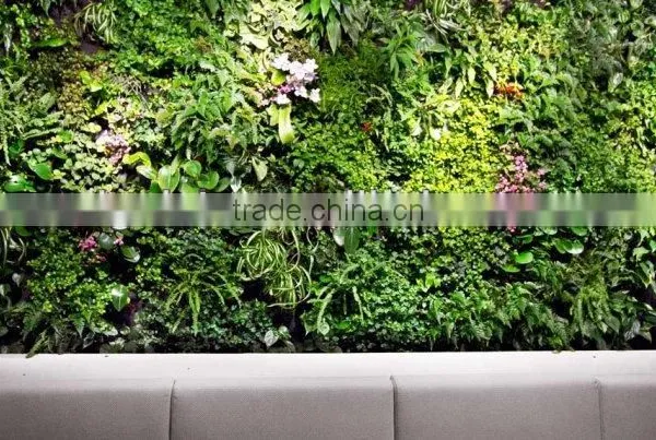 Eco-friendly Artificial Plant Wall ,artificial Vertical Green Wall, Grass Wall Indoor or Outdoor photo-2