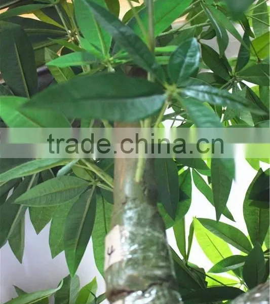 Home Garden Creepers Decoration 180cm Height Artificial Green Pachira Aquatica Tree EFCS05 2902 photo-5