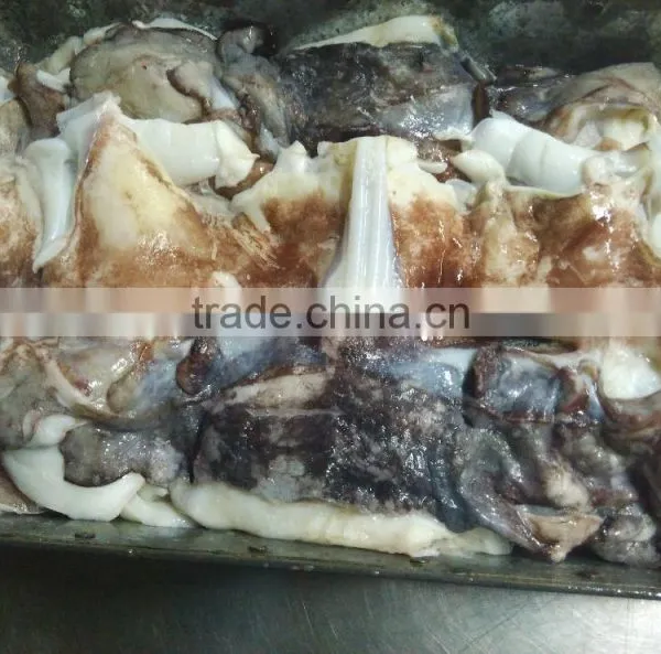Frozen Giant Squid Neck photo-2