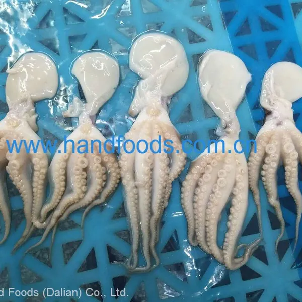 Frozen Cleaned Baby Octopus photo-3