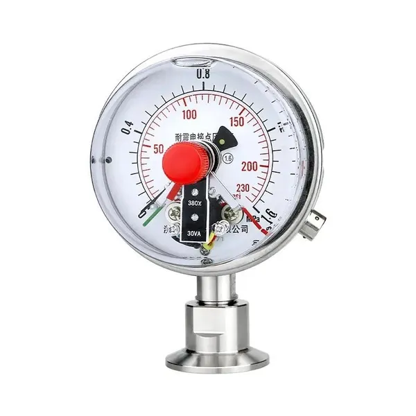 Electric Contact Diaphragm Pressure Gauge Customized Support OEM Factory in China photo-2