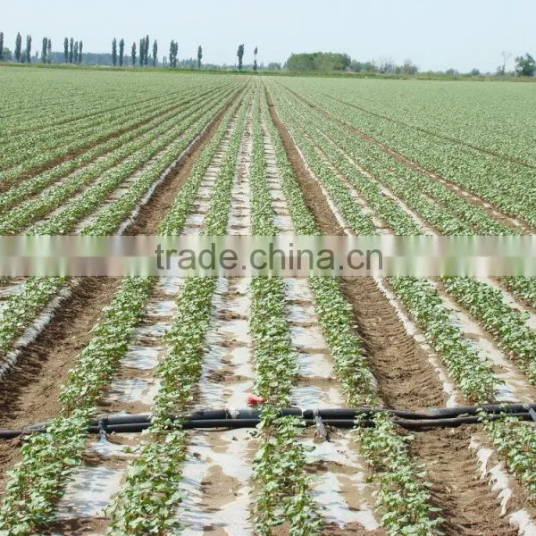 Agriculture Drip Irrigation System photo-3