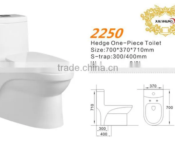 Dual Flush Ceramic Toilet Bowl wc Toilet Fish Tank Unit Bathroom Toilet Hidden Mini Camera photo-2