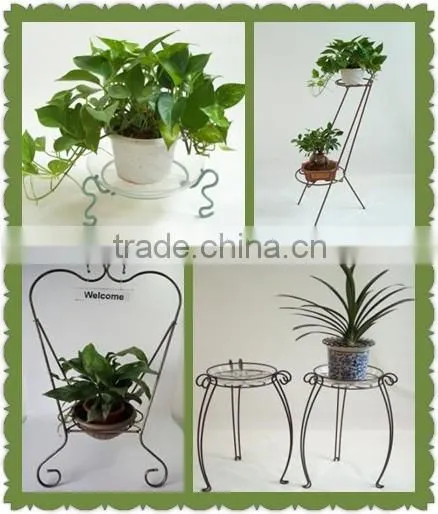 Steel Plant Stand for Showing