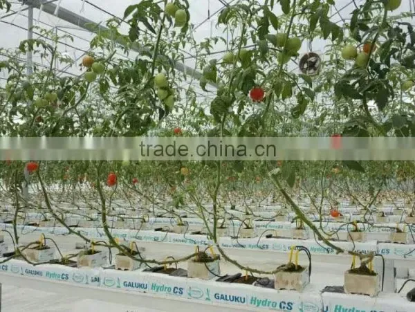 Tomato Cucumber Planting Bar Greenhouse Soilless Cultivation Rock Sliver photo-3