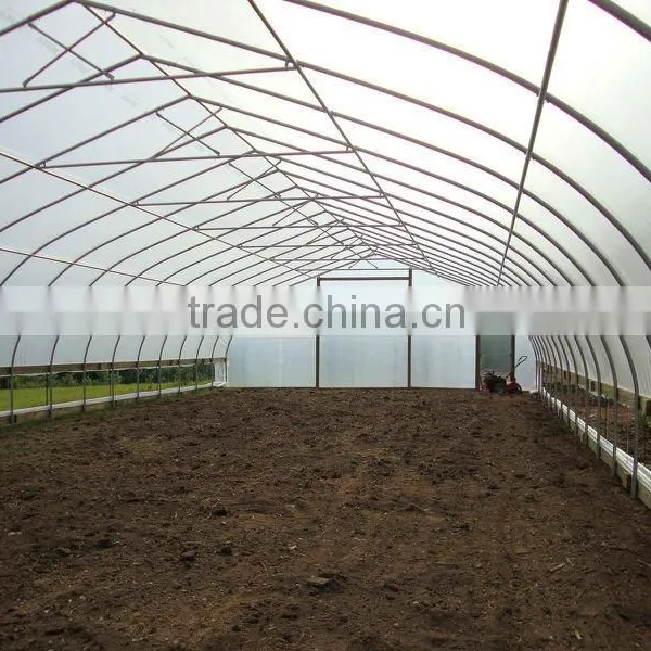 Tunnel Gothic Greenhouse