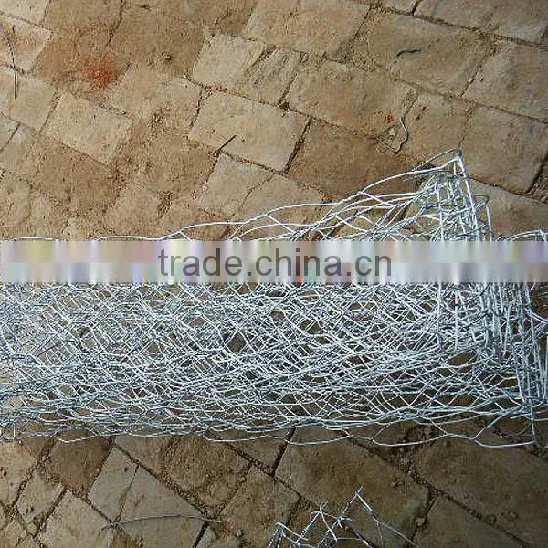 1/2" Electro Galvanized Hexagonal Mesh photo-2