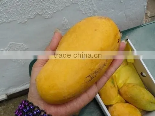 Fresh Mango photo-3