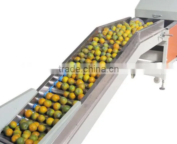 Stainless Steel Radish Potato Carrot Ginger Beet Washing Machine photo-2