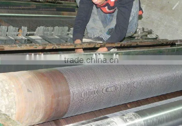 Hot Sale Galvanized Iron Wire Window Screen and Neting photo-2